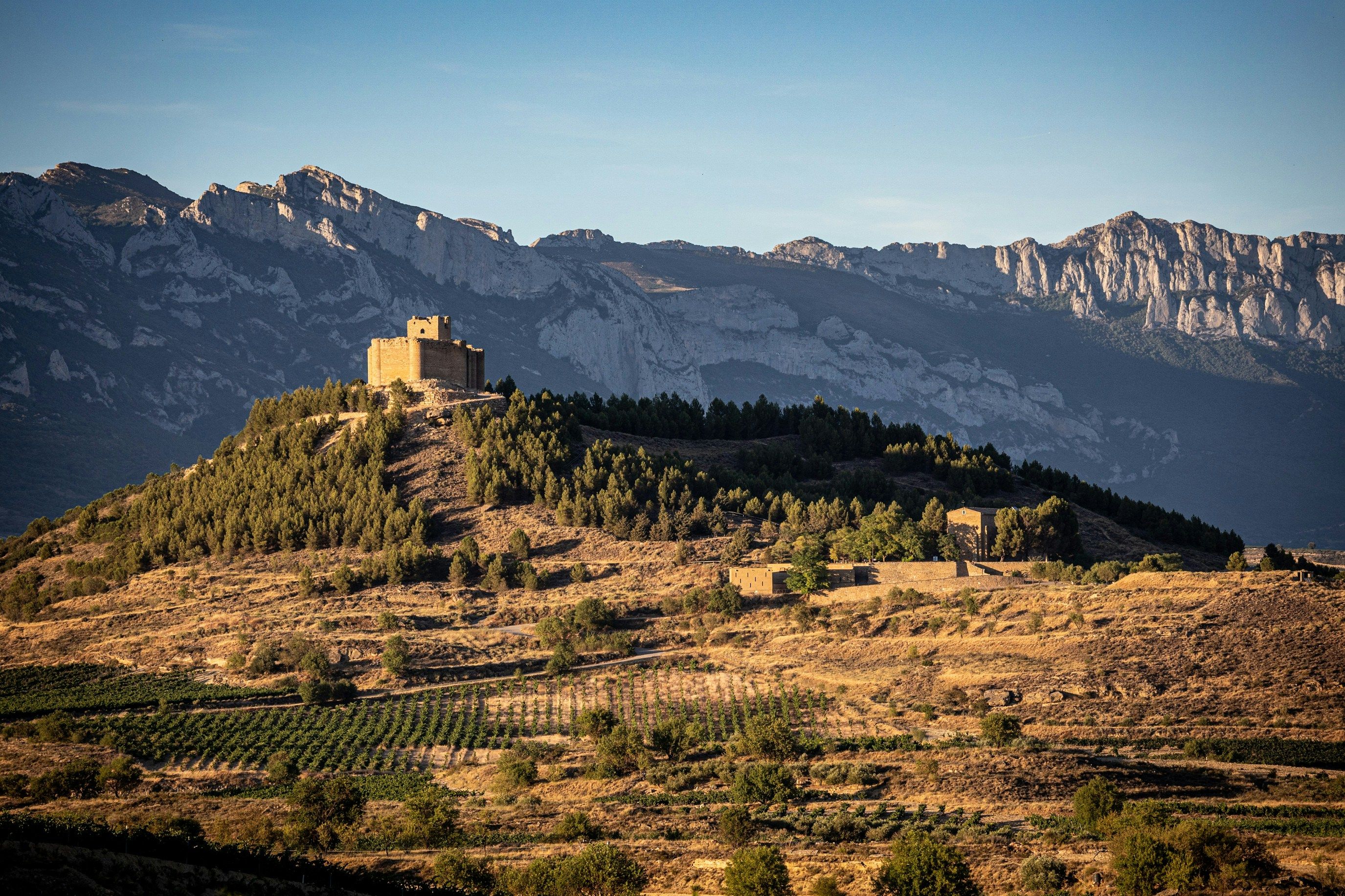 Mario La Pergola Larioja Unsplash
