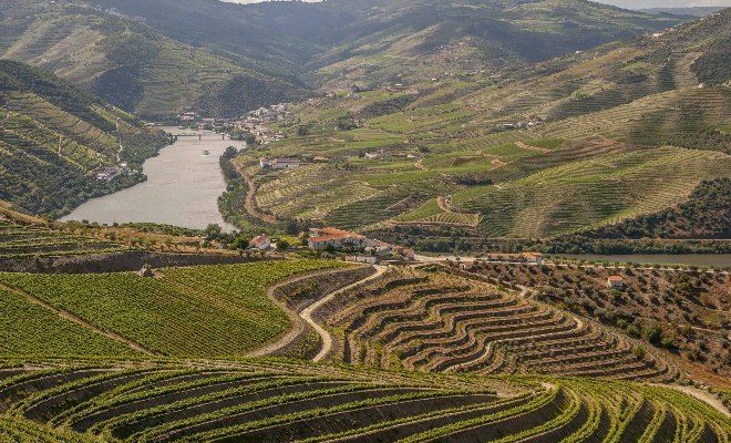 Douro Blog Edit