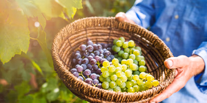 Grape