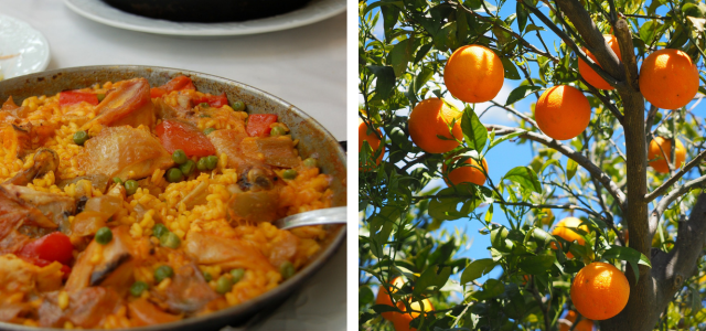 Valencia Paella Oranges