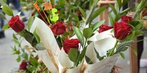 Sant Jordi Flowers Pixabay